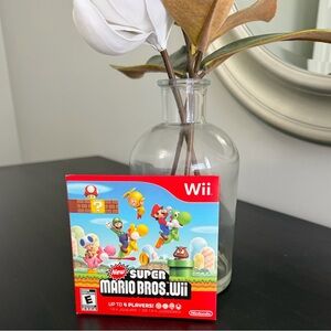 Nintendo Wii Super Mario Brothers Video Game